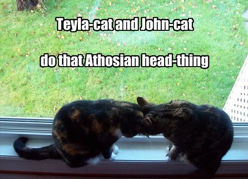 Teyla-cat and John-cat?