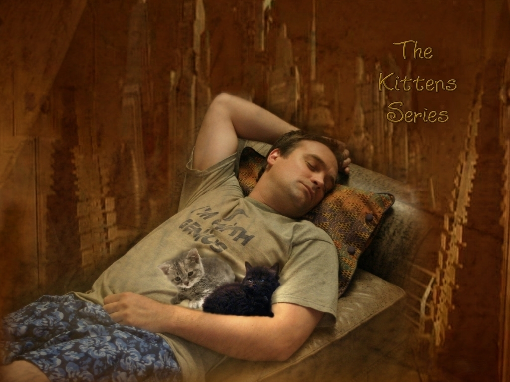The Kitten Series