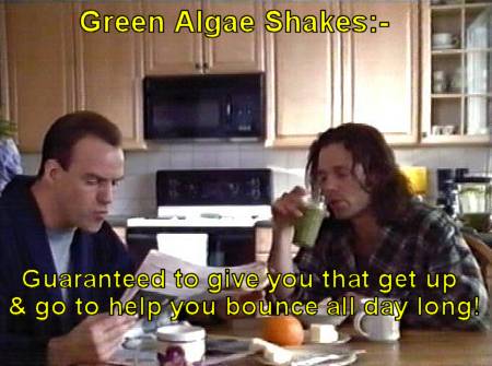 Algae Shakes